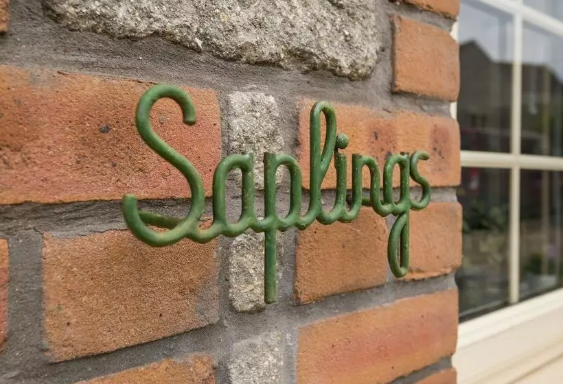 Saplings