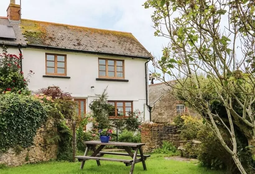 Tom's House