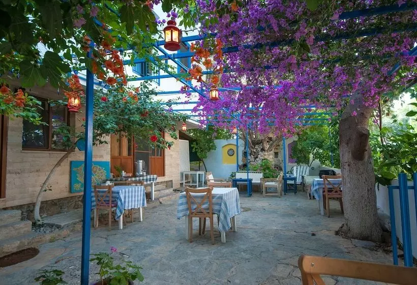 Ostello Thetis Pansiyon