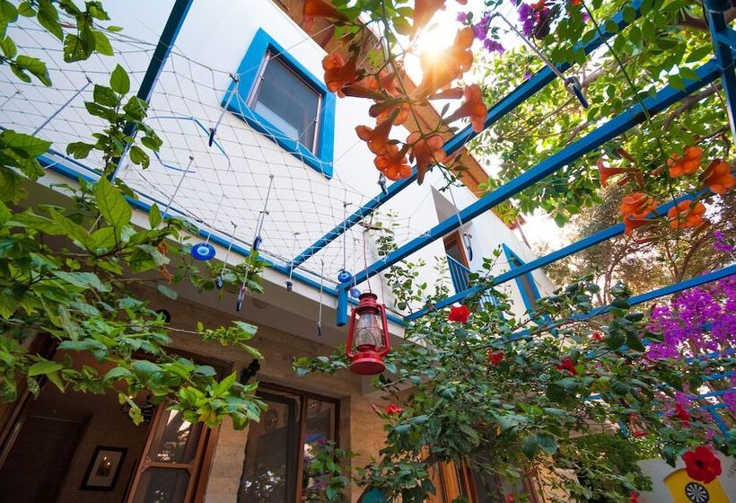 Общежитие Thetis Pansiyon