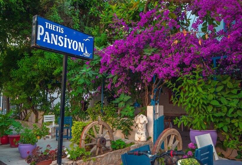 Общежитие Thetis Pansiyon