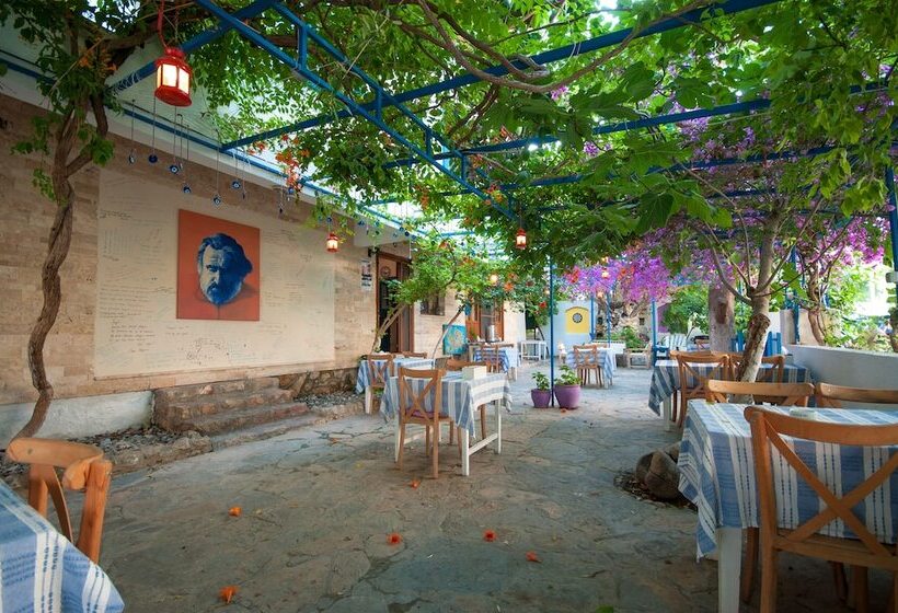 Общежитие Thetis Pansiyon