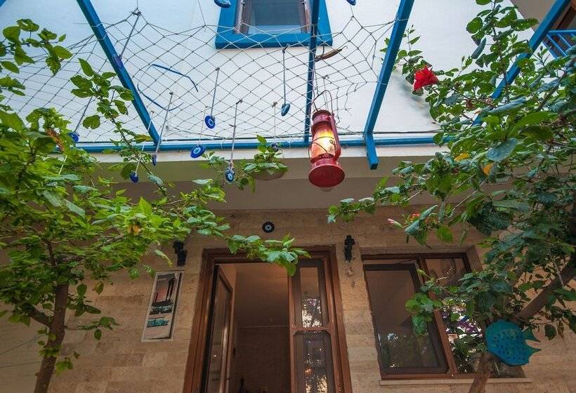 Общежитие Thetis Pansiyon