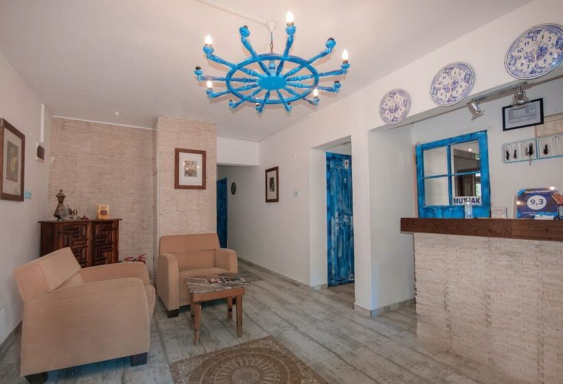 Общежитие Thetis Pansiyon