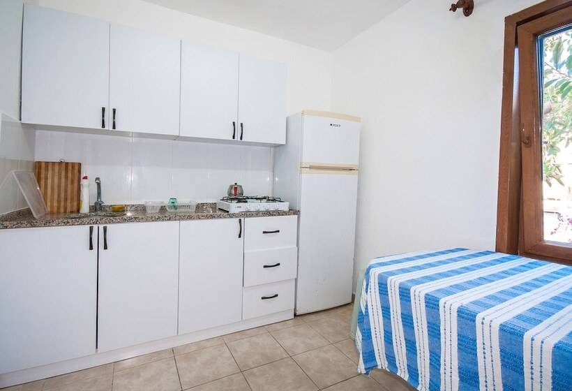 Общежитие Thetis Pansiyon