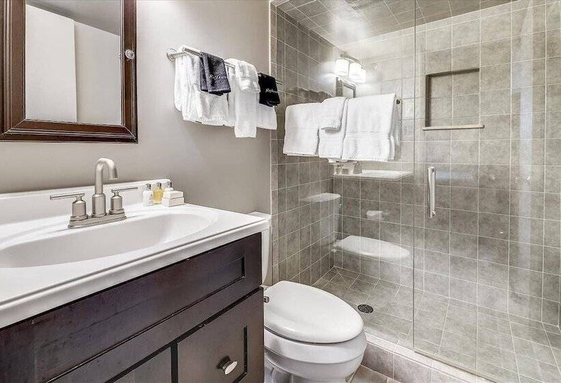 Downtown Aspen Vacation Rentals