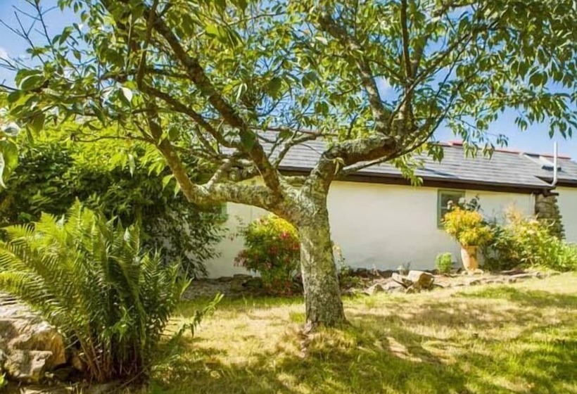 Five Elements Studio