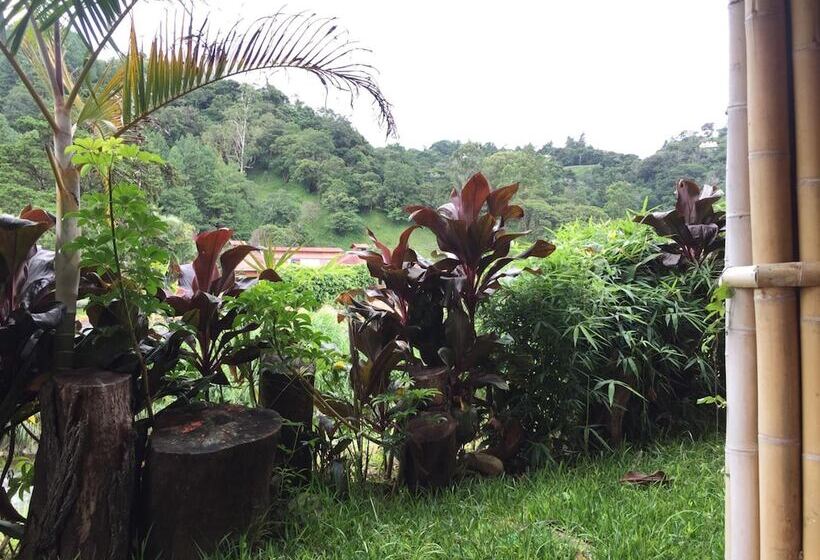 Hostal Sueños Del Río