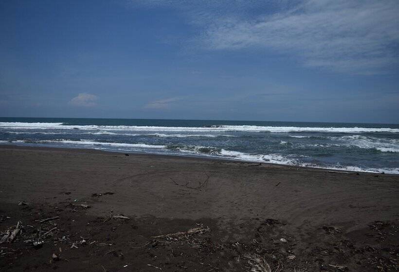 هتل Chinitas Eco Lodge