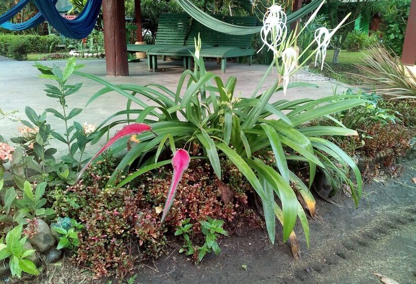 هتل Chinitas Eco Lodge