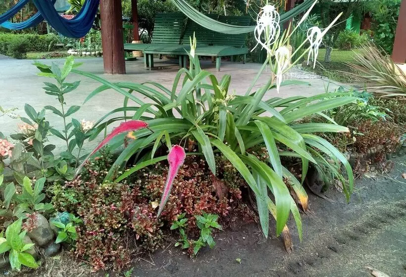 Hotelli Chinitas Eco Lodge