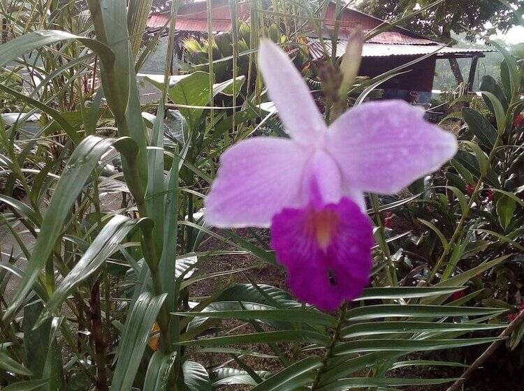 هتل Chinitas Eco Lodge