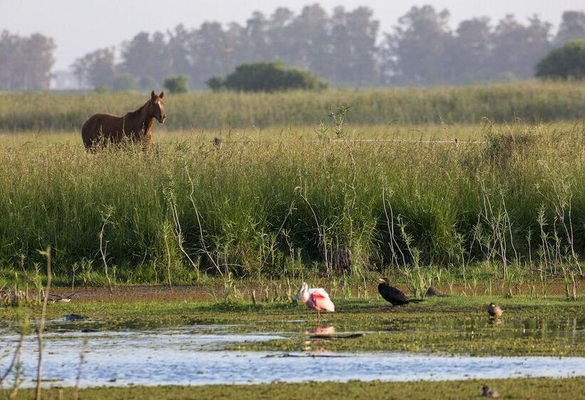 فندق Estancia La Bandada