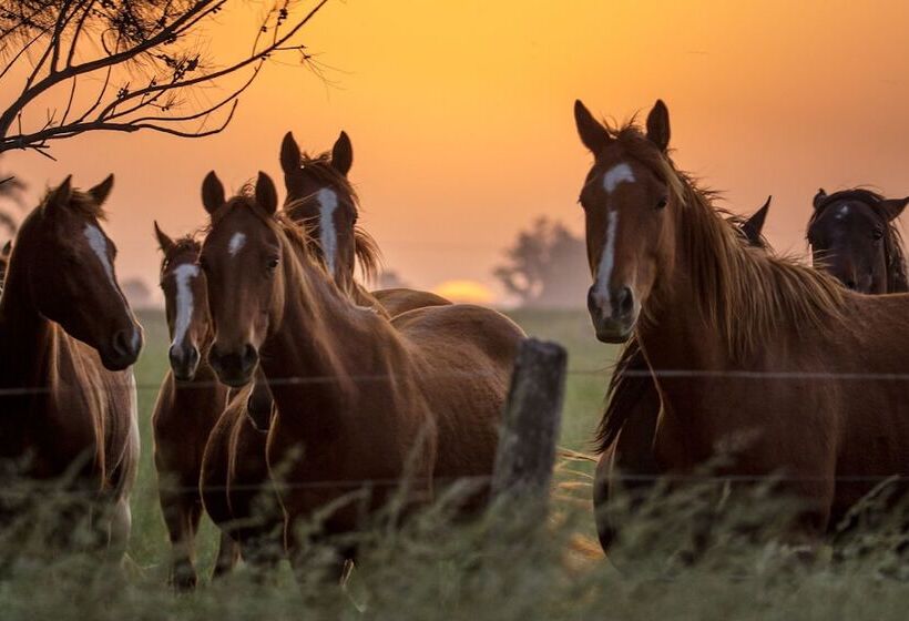 فندق Estancia La Bandada