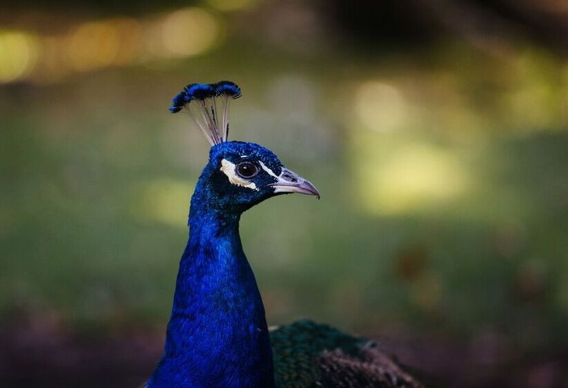 فندق Estancia La Bandada