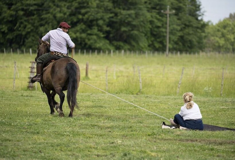 فندق Estancia La Bandada
