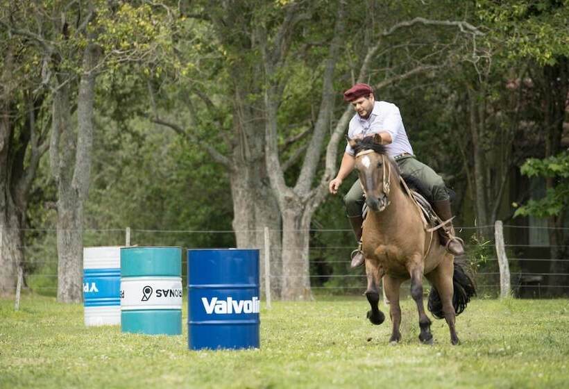 فندق Estancia La Bandada