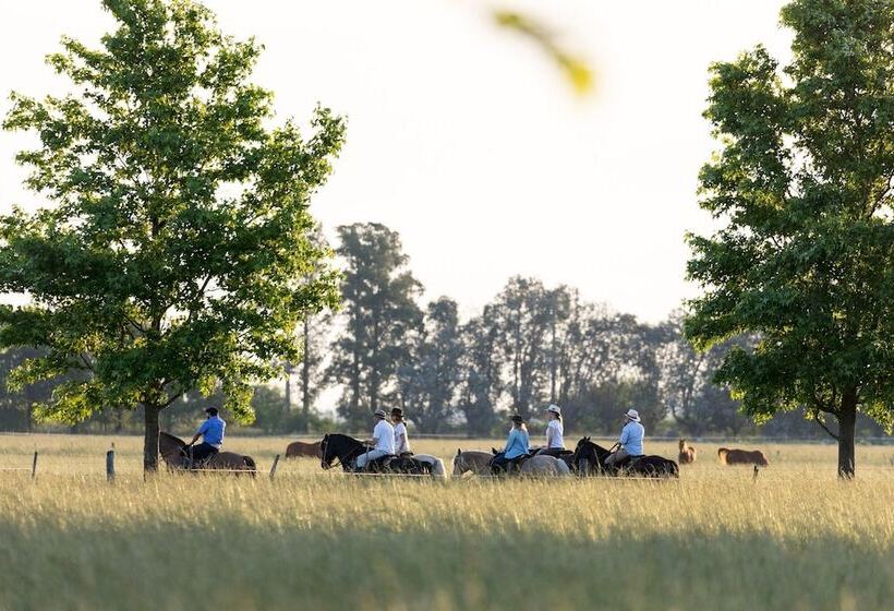 فندق Estancia La Bandada