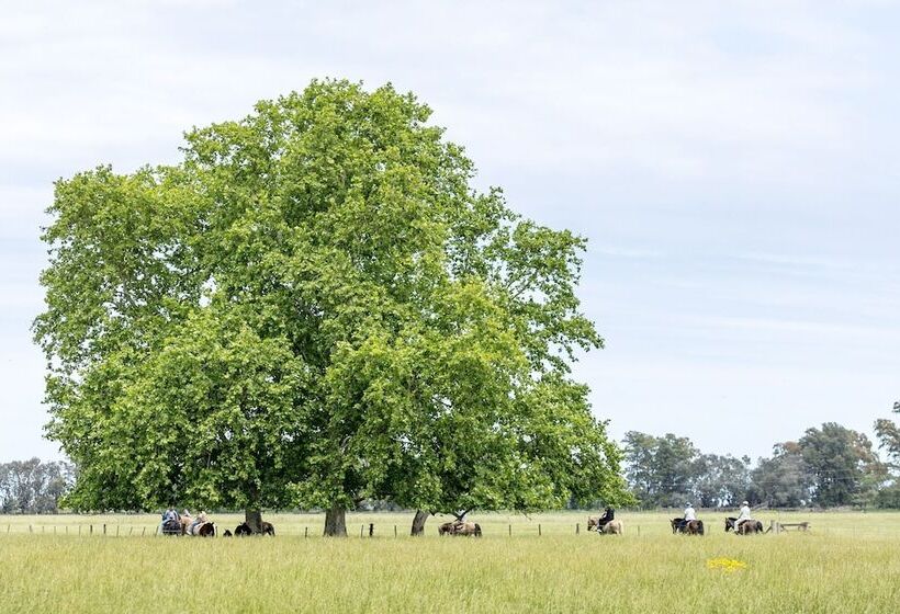 فندق Estancia La Bandada
