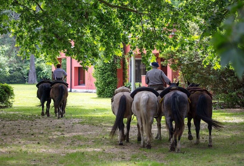 فندق Estancia La Bandada