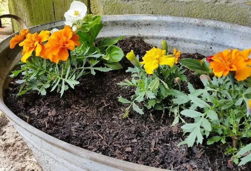 Hotelli Glamping Thorpe