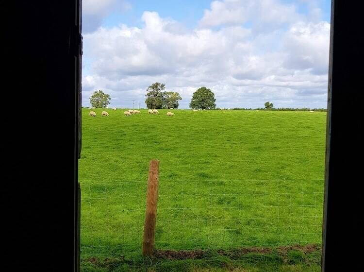 هتل Glamping Thorpe