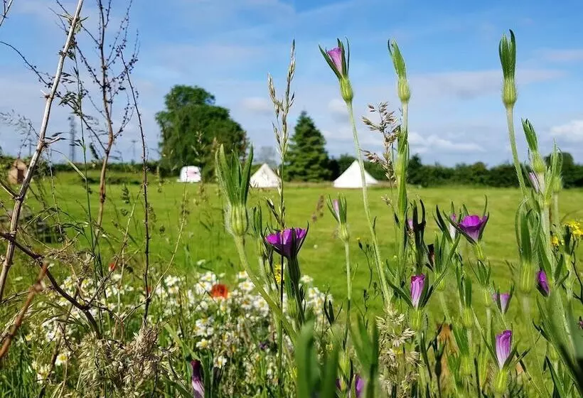 Hotelli Glamping Thorpe