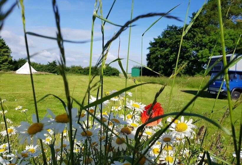 هتل Glamping Thorpe