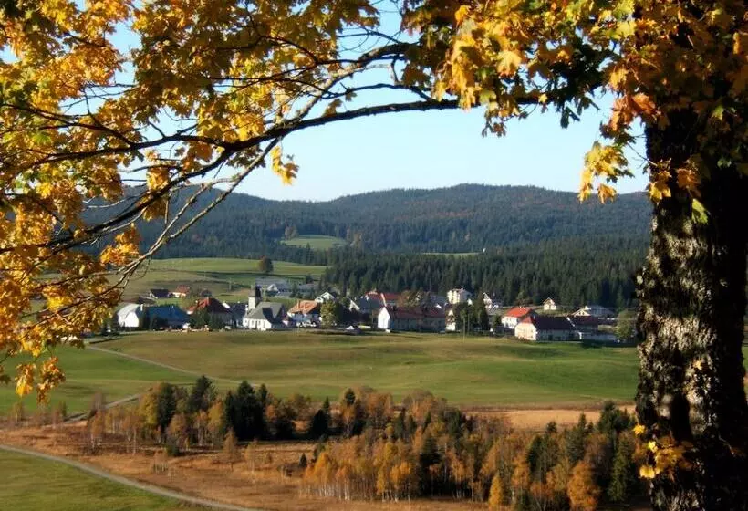 ホテル Logis Hôtel Les Bruyères