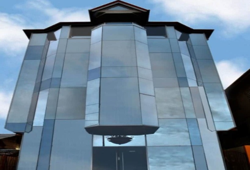 هتل Millenium Manor