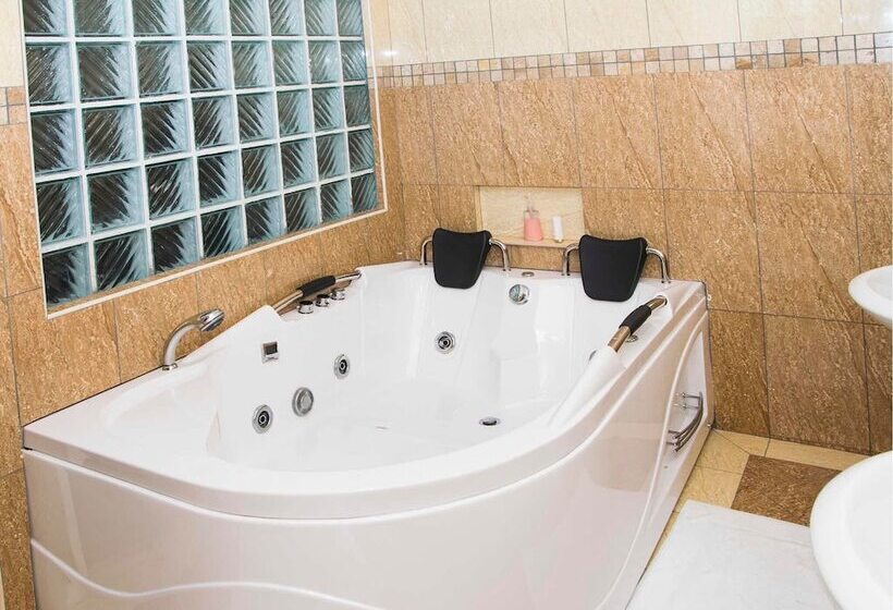 هتل Millenium Manor