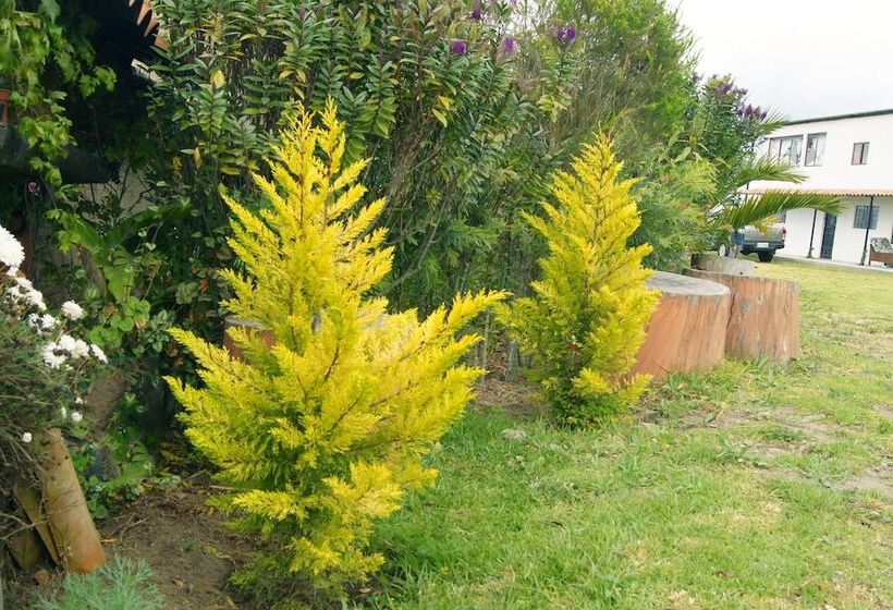 田舎風ホテル Bella Vista Pujili