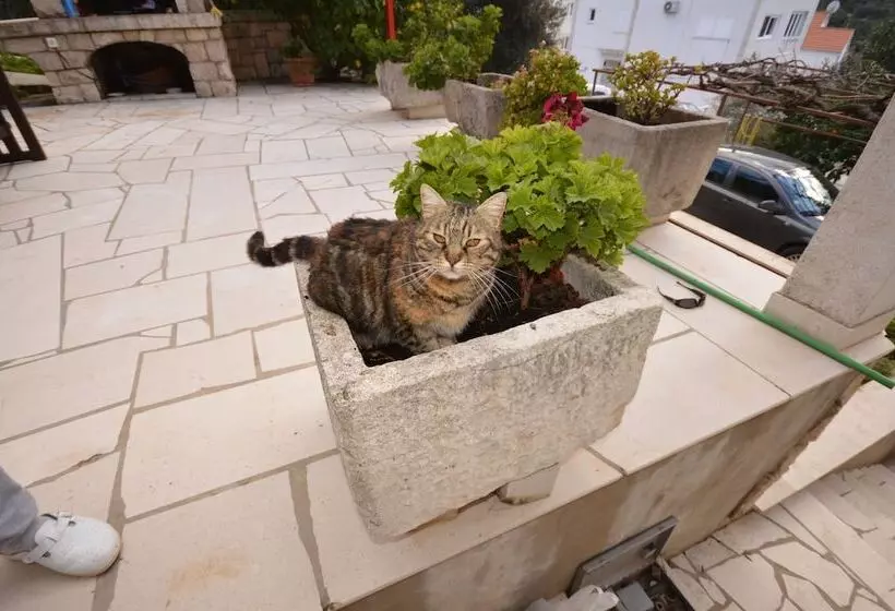 هتل Villa Castello