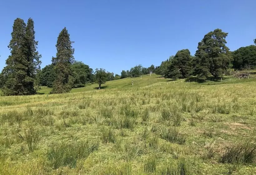 Leny Estate