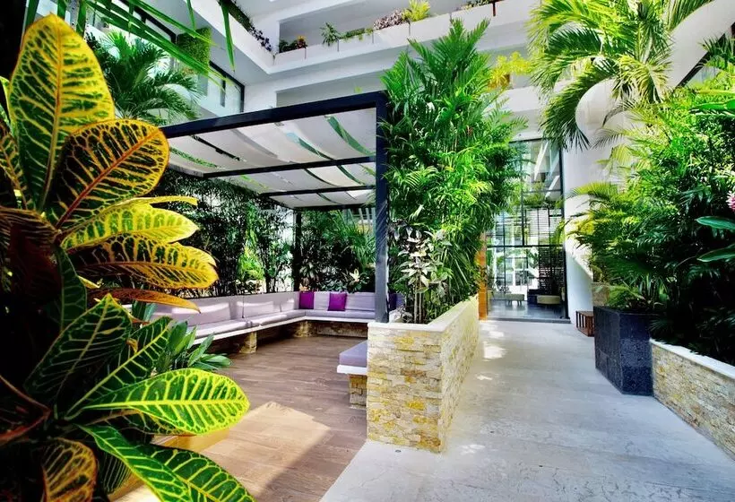 Menesse The City By Casago