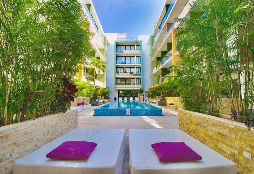 Menesse The City By Casago