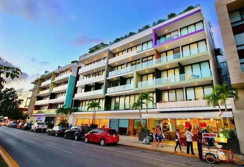 Menesse The City By Casago