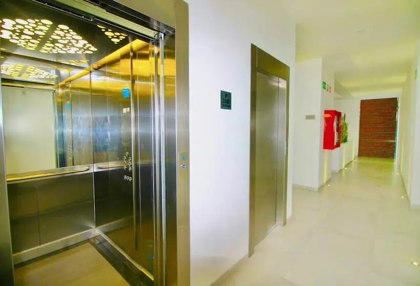 Menesse The City By Casago