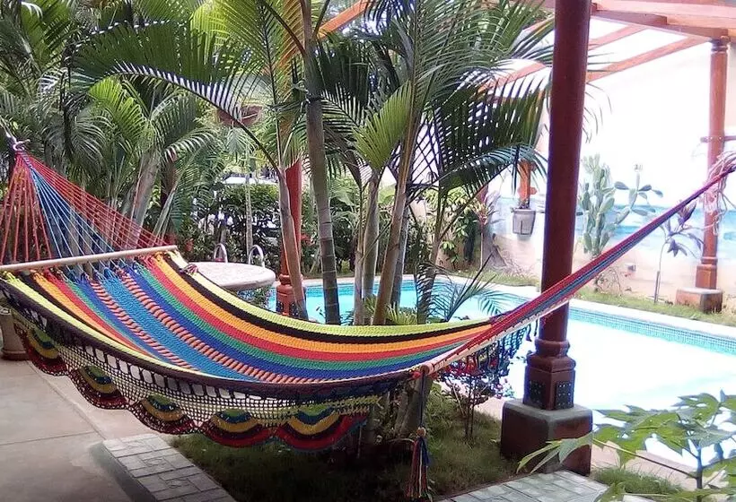 پانسیون Guest House Casa Oro Fina