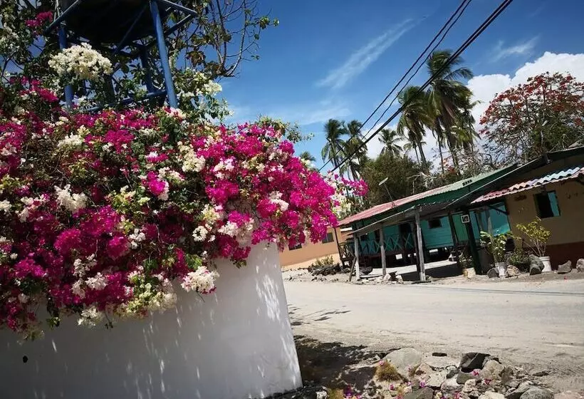 ペンション La Perla De Farallon Bed And Breakfast