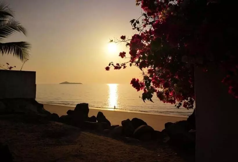 ペンション La Perla De Farallon Bed And Breakfast