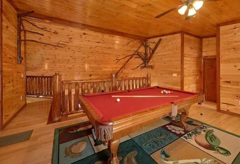 Pool Movie 1 Apartment 6