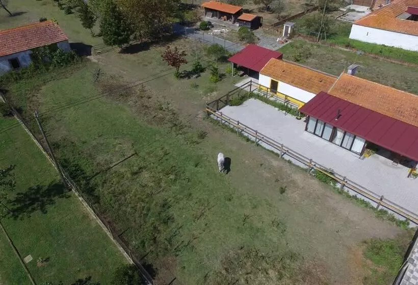 Recoleta Da Praia Velha