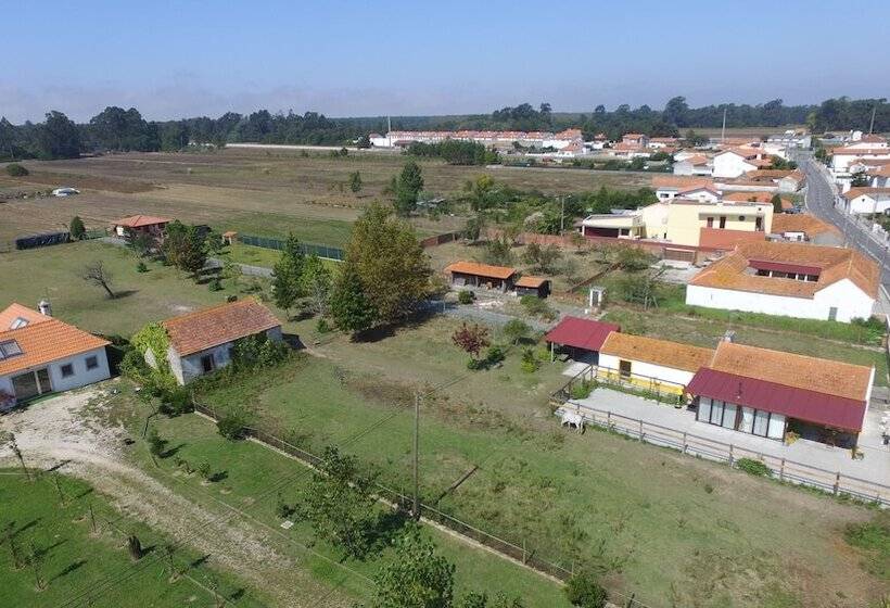 Recoleta Da Praia Velha