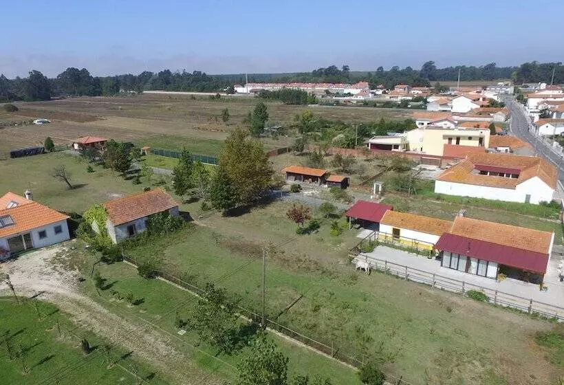 Recoleta Da Praia Velha