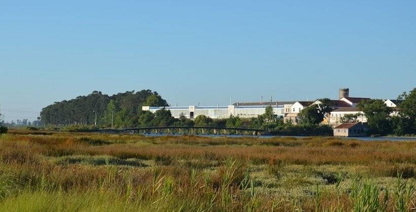 Recoleta Da Praia Velha