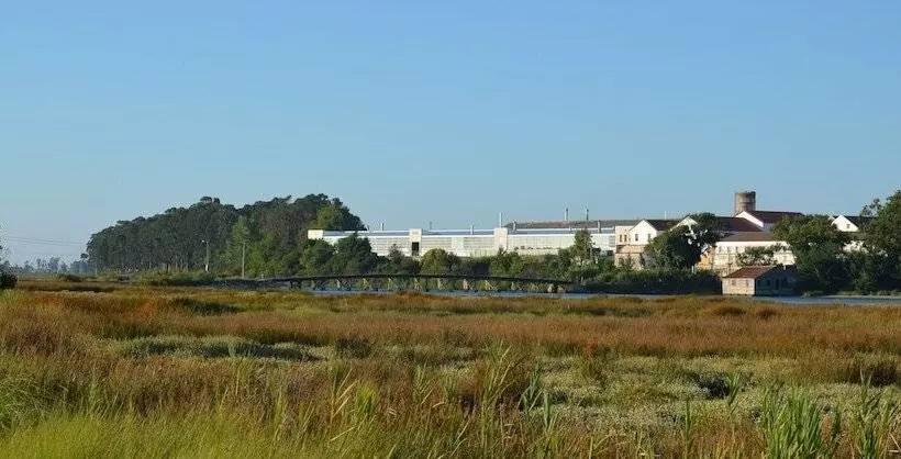 Recoleta Da Praia Velha