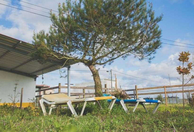 Recoleta Da Praia Velha