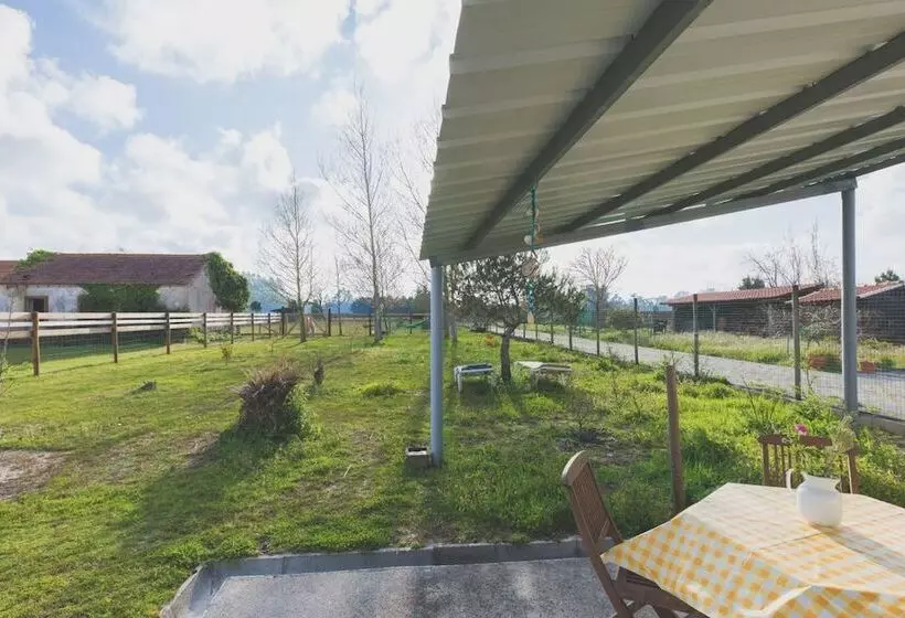 Recoleta Da Praia Velha