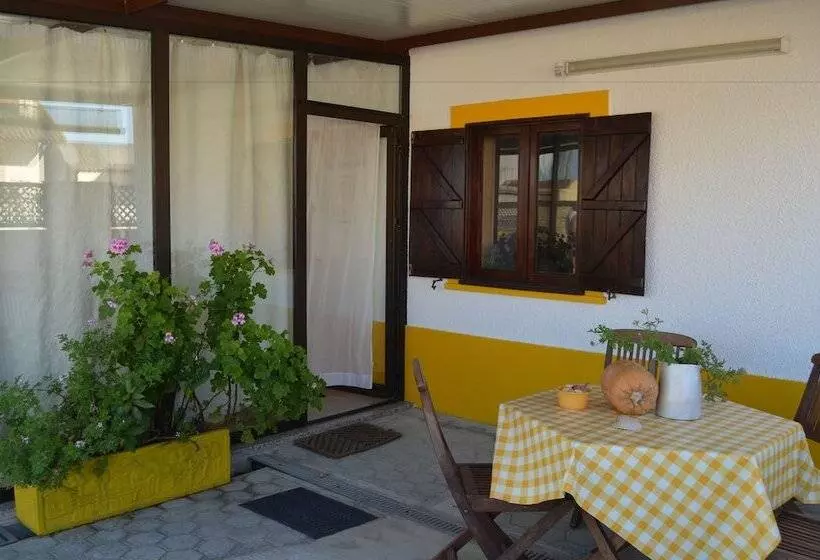 Recoleta Da Praia Velha